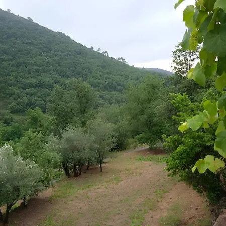 Maison Cevenole Σπίτι διακοπών Corbés